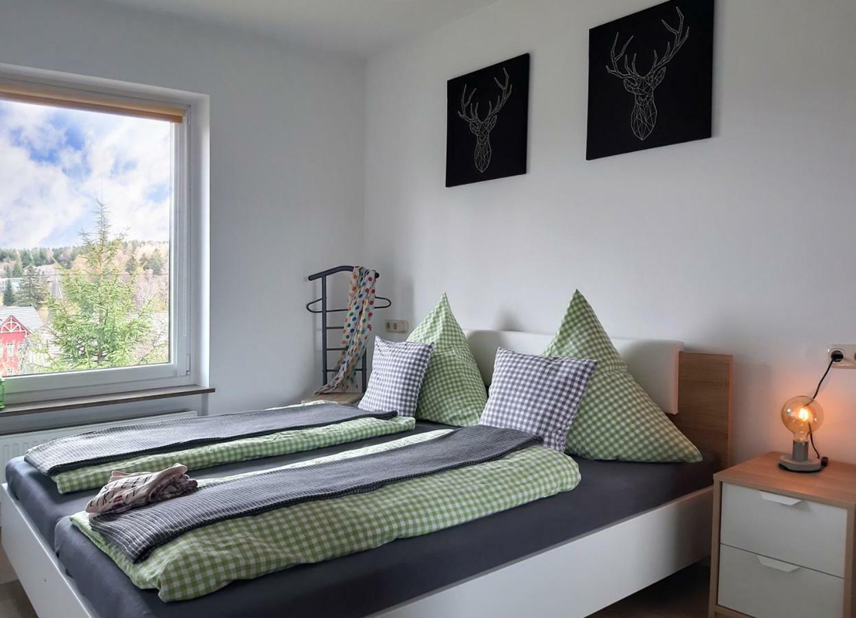 Apartament Bergblick-Braunlage Zewnętrze zdjęcie